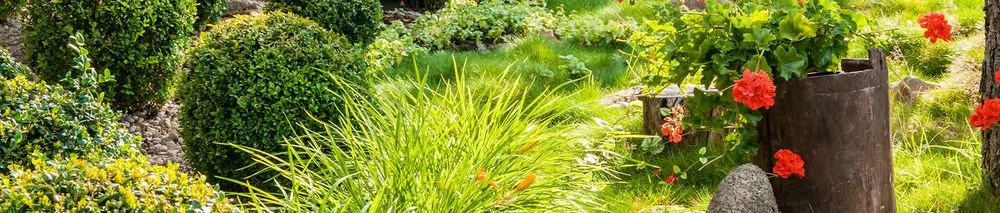 Local residential landscaping for year-round maintenance across Burlington, NC - Picture Perfect Lawn Maintenance