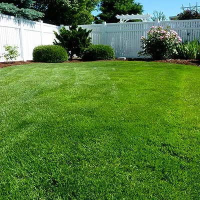 Reliable landscaping services with custom design across Burlington, NC - Picture Perfect Lawn Maintenance