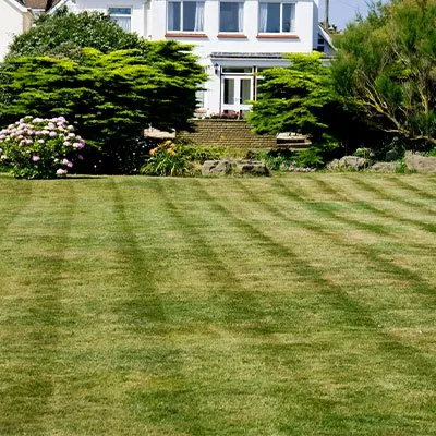 Local lawn mowing service experts serving Burlington, NC - Picture Perfect Lawn Maintenance
