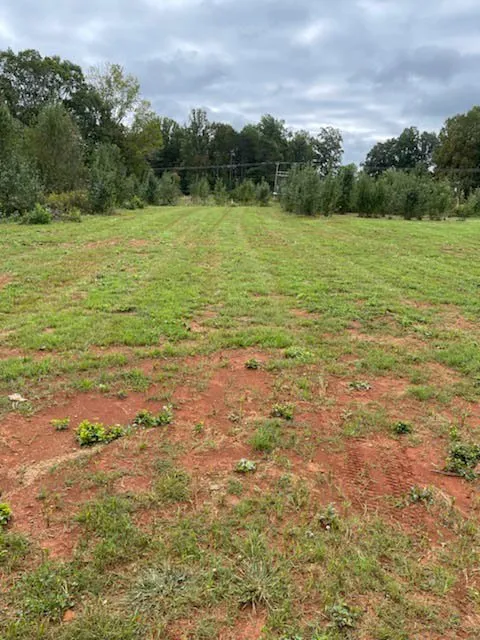 Professional yard cleanup service for residential properties across Burlington, NC - Picture Perfect Lawn Maintenance