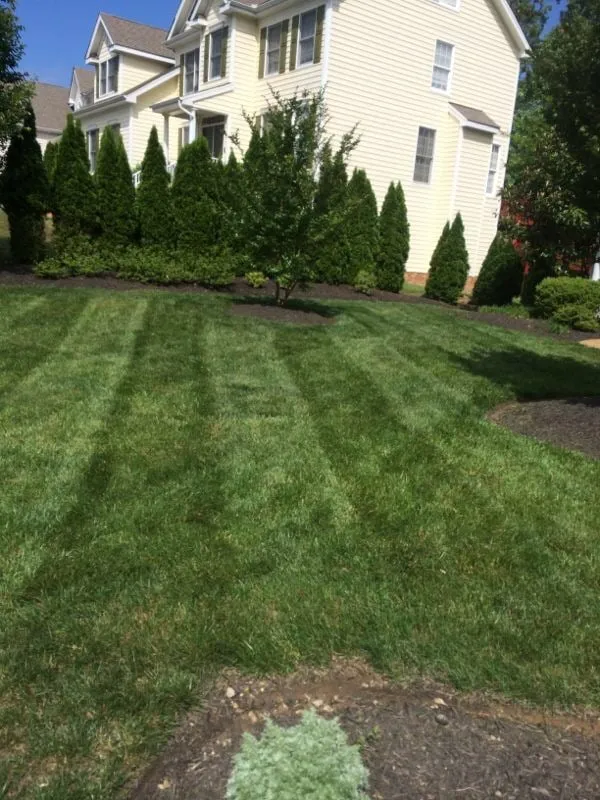 Professional landscape design in Petersburg, VA by Picture Perfect Lawn Maintenance