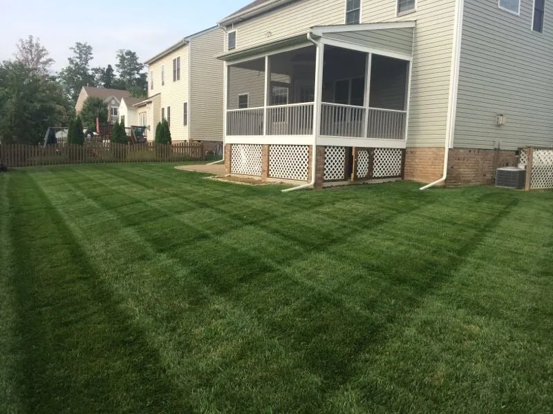 Trusted residential landscaping in Petersburg, VA by Picture Perfect Lawn Maintenance