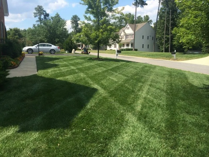 Trusted landscape installation in Petersburg, VA by Picture Perfect Lawn Maintenance