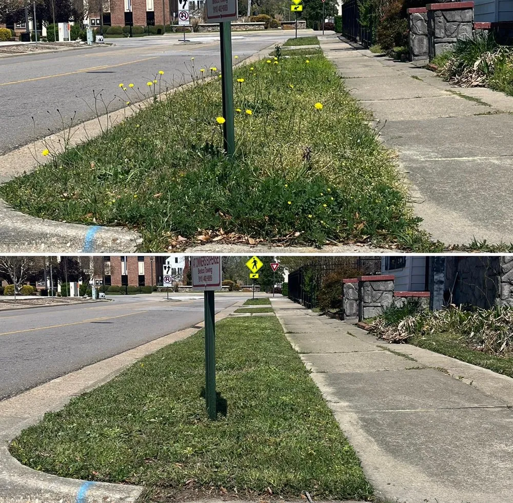 Reliable landscaping services for outdoor upgrades in Fayetteville, NC by Picture Perfect Lawn Service