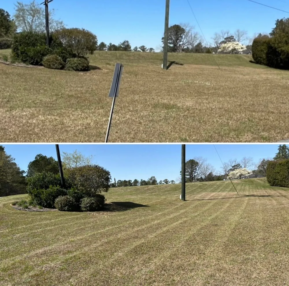 Custom residential landscaping near you in Fayetteville, NC by Picture Perfect Lawn Service