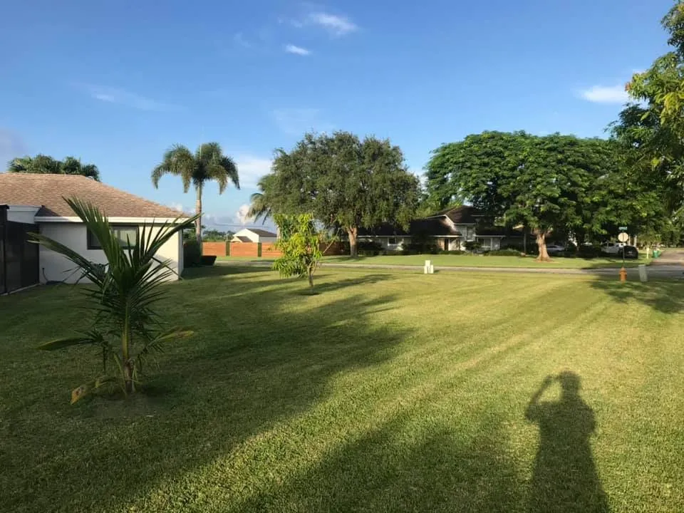 Trusted residential landscaping in Homestead, FL - Picture Perfect Lawn Service