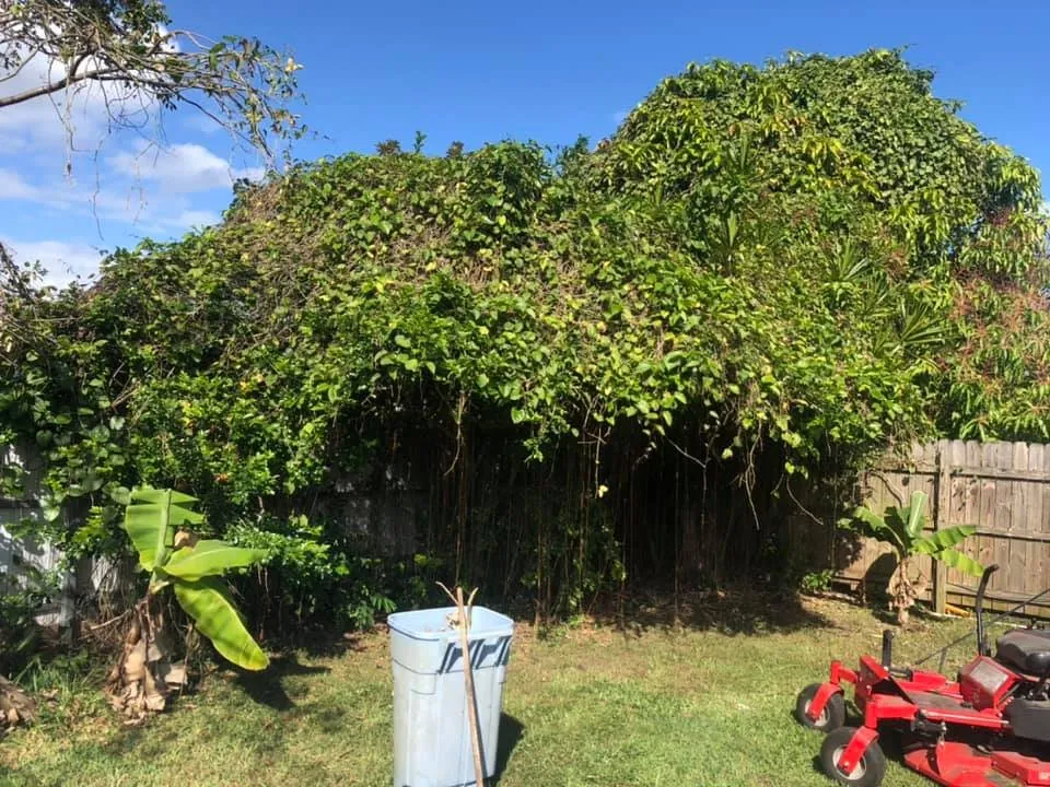 Local landscape installation in Homestead, FL - Picture Perfect Lawn Service