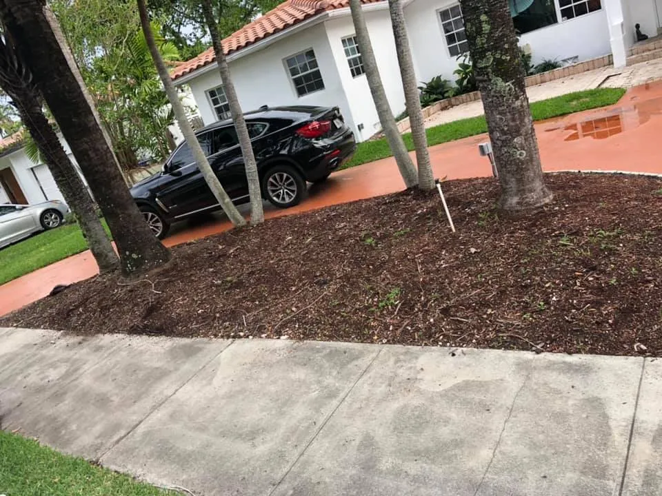 Professional yard maintenance in Homestead, FL by Picture Perfect Lawn Service
