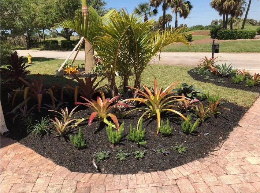Reliable lawn care service for beautiful yards in Fort Myers, FL by Picture Perfect Lawncare & Maintenance