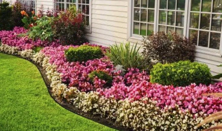 Professional landscape installation in Fort Myers, FL by Picture Perfect Lawncare & Maintenance