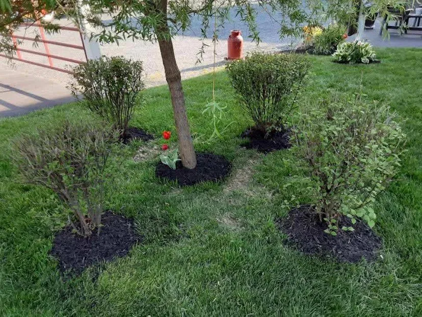 Trusted garden landscaping in Washington, NJ - Picture Perfect Lawns and Landscape