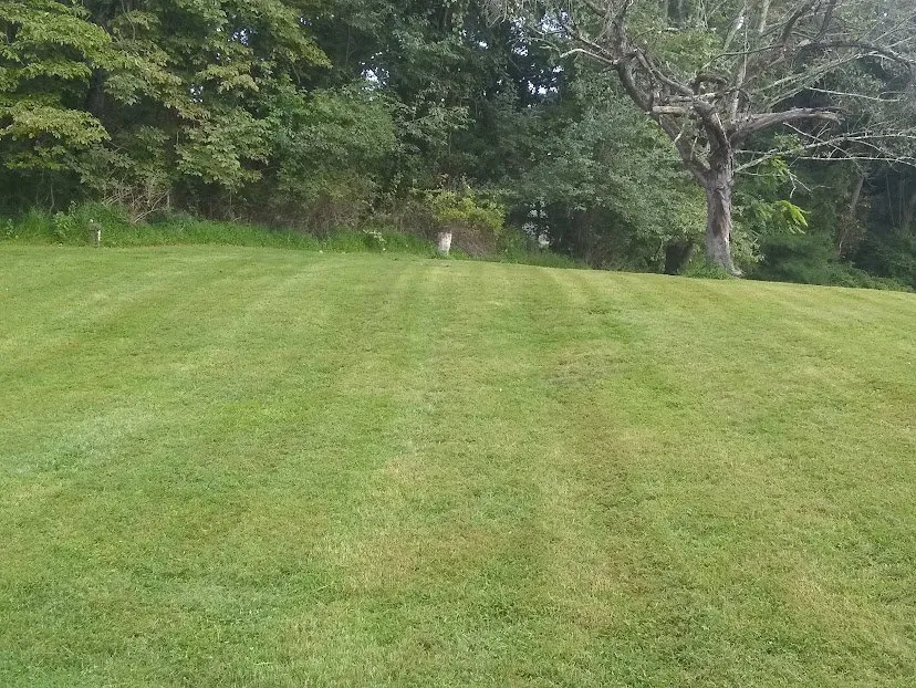 Expert landscape installation experts serving Washington, NJ - Picture Perfect Lawns and Landscape