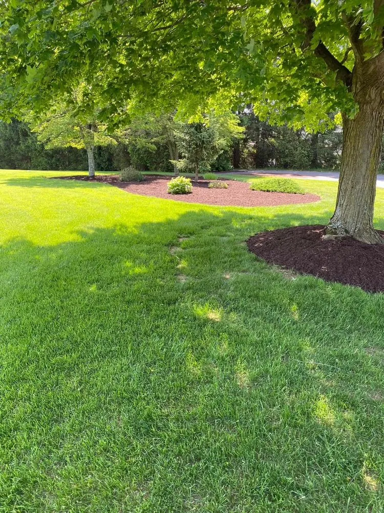 Reliable yard cleanup service in Washington, NJ by Picture Perfect Lawns and Landscape