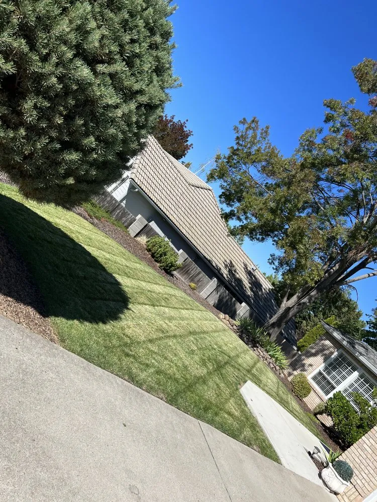 Top-rated yard maintenance in Medford, OR by Picture Perfect Lawns