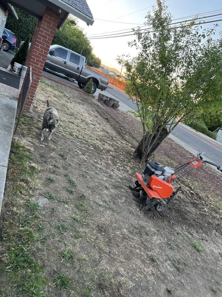 Professional landscape installation in Medford, OR by Picture Perfect Lawns