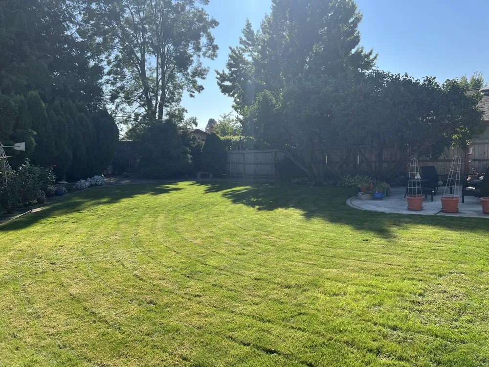 Custom residential landscaping with custom design in Medford, OR by Picture Perfect Lawns