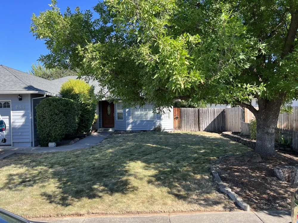 Top-rated lawn care service for beautiful yards in Medford, OR by Picture Perfect Lawns