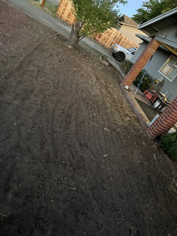 Affordable landscaping services for year-round maintenance in Medford, OR by Picture Perfect Lawns