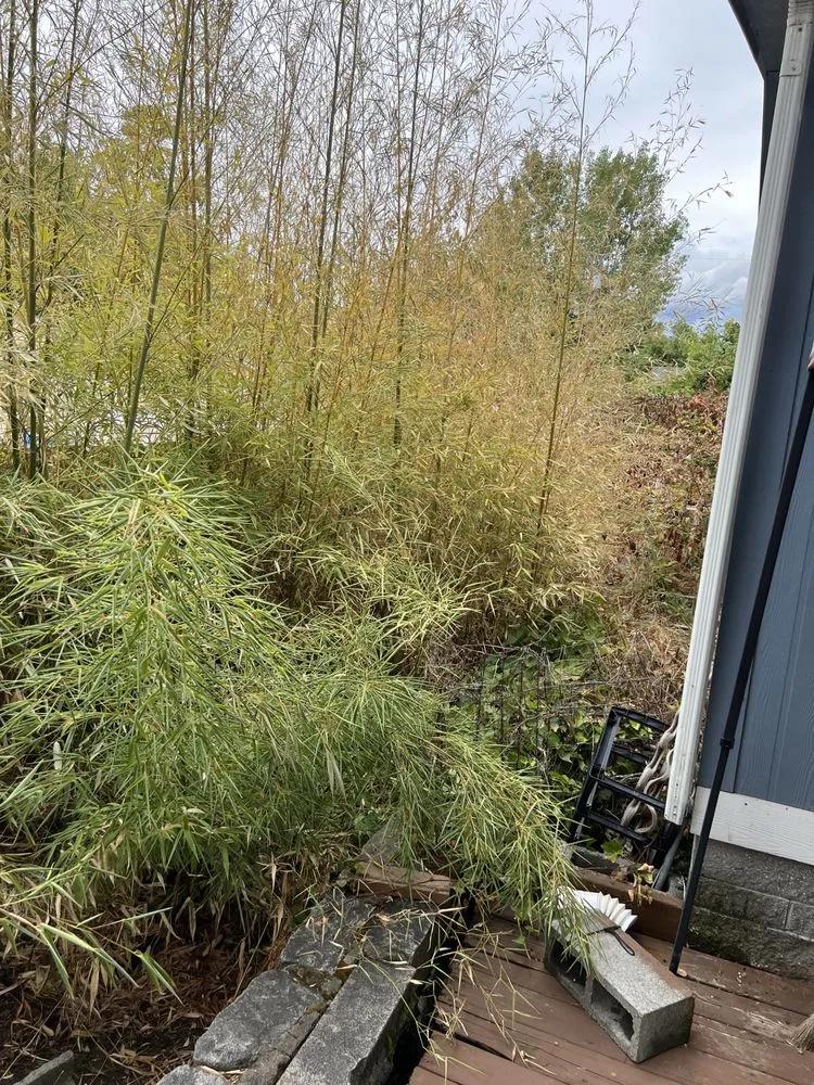 Professional landscape installation for outdoor upgrades in Medford, OR by Picture Perfect Lawns