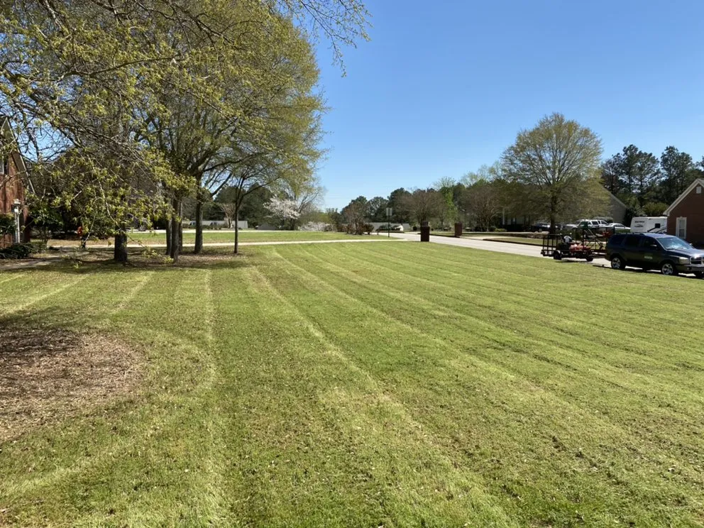 Affordable lawn care service in Hampton, GA by Picture Perfect Property Management