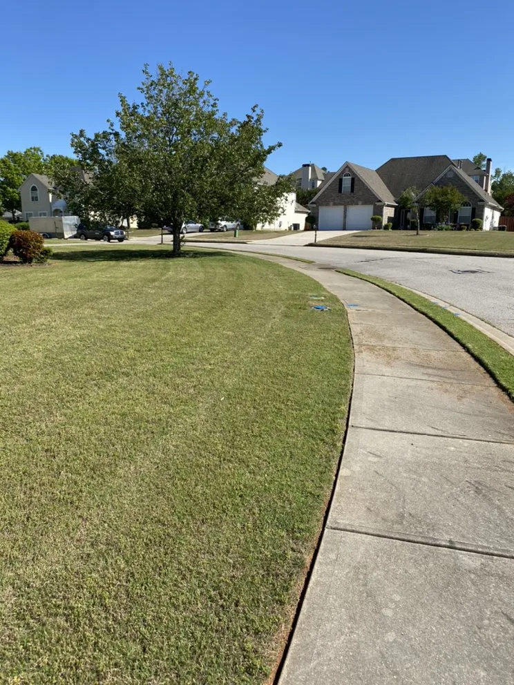 Affordable garden landscaping for homes across Hampton, GA - Picture Perfect Property Management