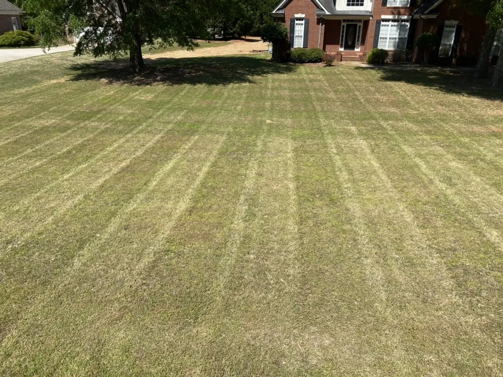 Local yard maintenance for year-round maintenance across Hampton, GA - Picture Perfect Property Management