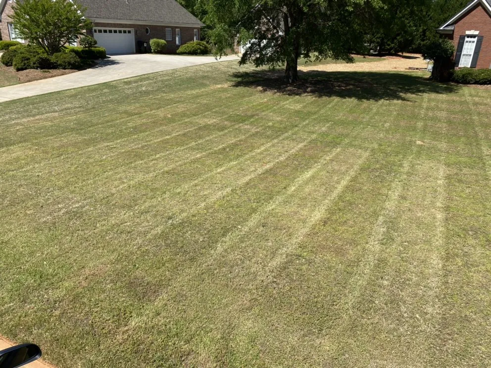 Affordable landscaping services for outdoor upgrades across Hampton, GA - Picture Perfect Property Management