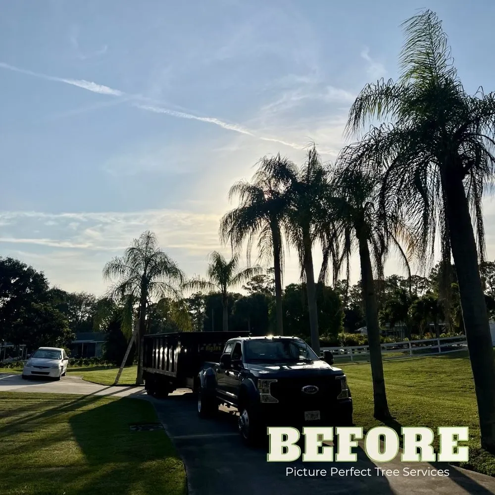 Local garden landscaping for outdoor upgrades across Jupiter, FL - Picture Perfect Tree Services