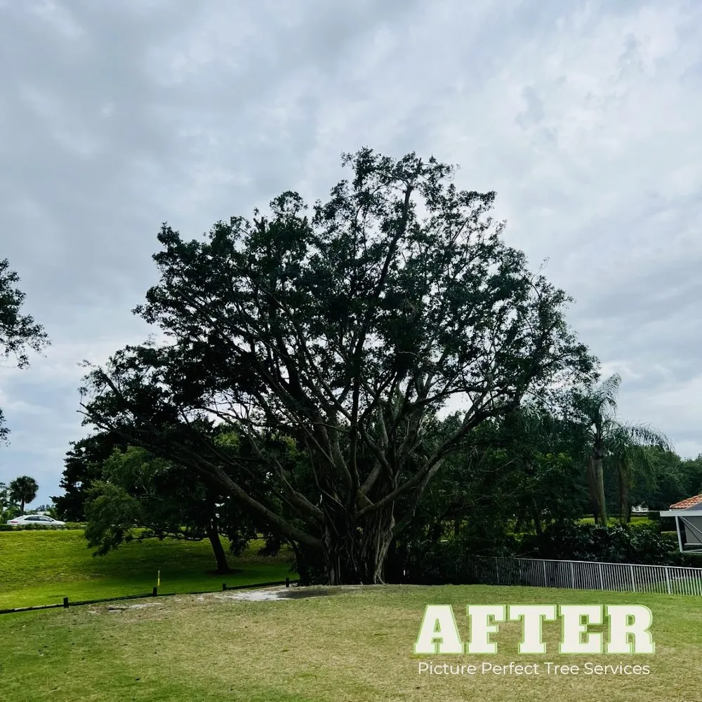 Trusted lawn care service with custom design across Jupiter, FL - Picture Perfect Tree Services