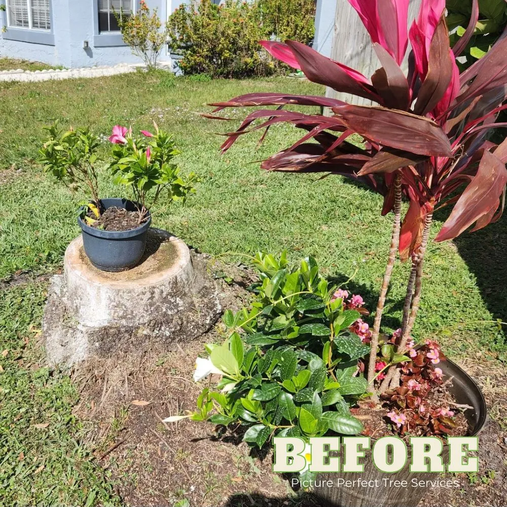 Expert residential landscaping with custom design across Jupiter, FL - Picture Perfect Tree Services