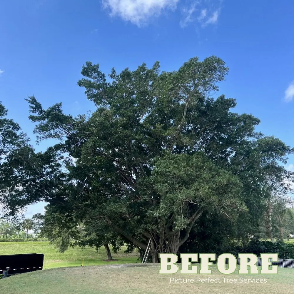 Reliable outdoor landscaping with custom design across Jupiter, FL - Picture Perfect Tree Services