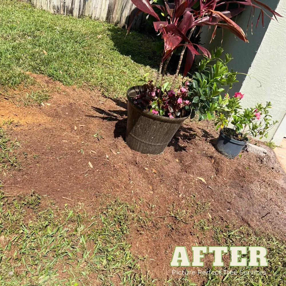 Trusted lawn mowing service for year-round maintenance across Jupiter, FL - Picture Perfect Tree Services