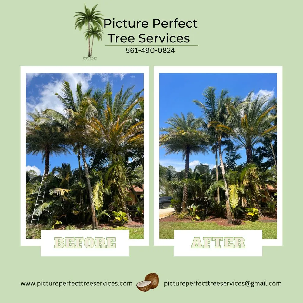 Professional garden landscaping experts serving Jupiter, FL - Picture Perfect Tree Services