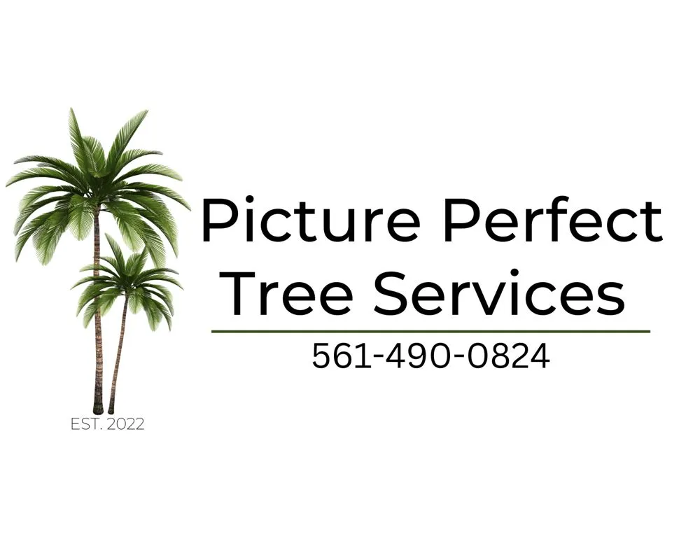 Professional landscape installation in Jupiter, FL - Picture Perfect Tree Services