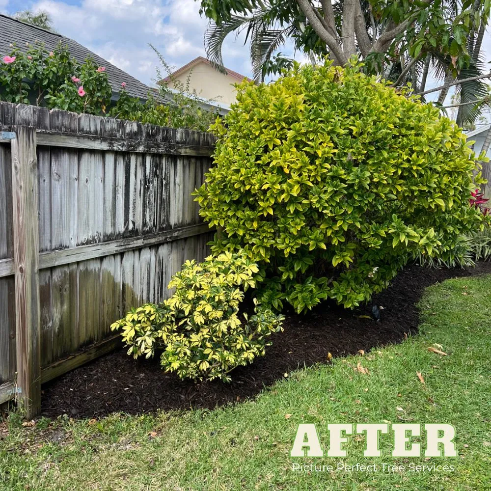 Reliable garden landscaping with custom design across Jupiter, FL - Picture Perfect Tree Services