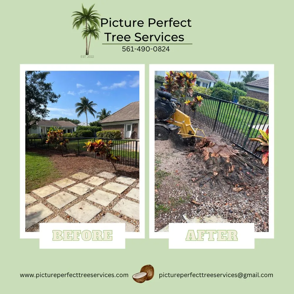 Affordable landscape installation for outdoor upgrades across Jupiter, FL - Picture Perfect Tree Services