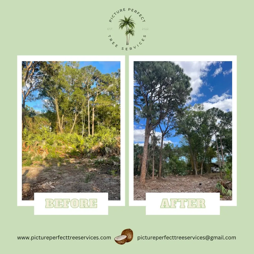 Top-rated landscaping services experts serving Jupiter, FL - Picture Perfect Tree Services