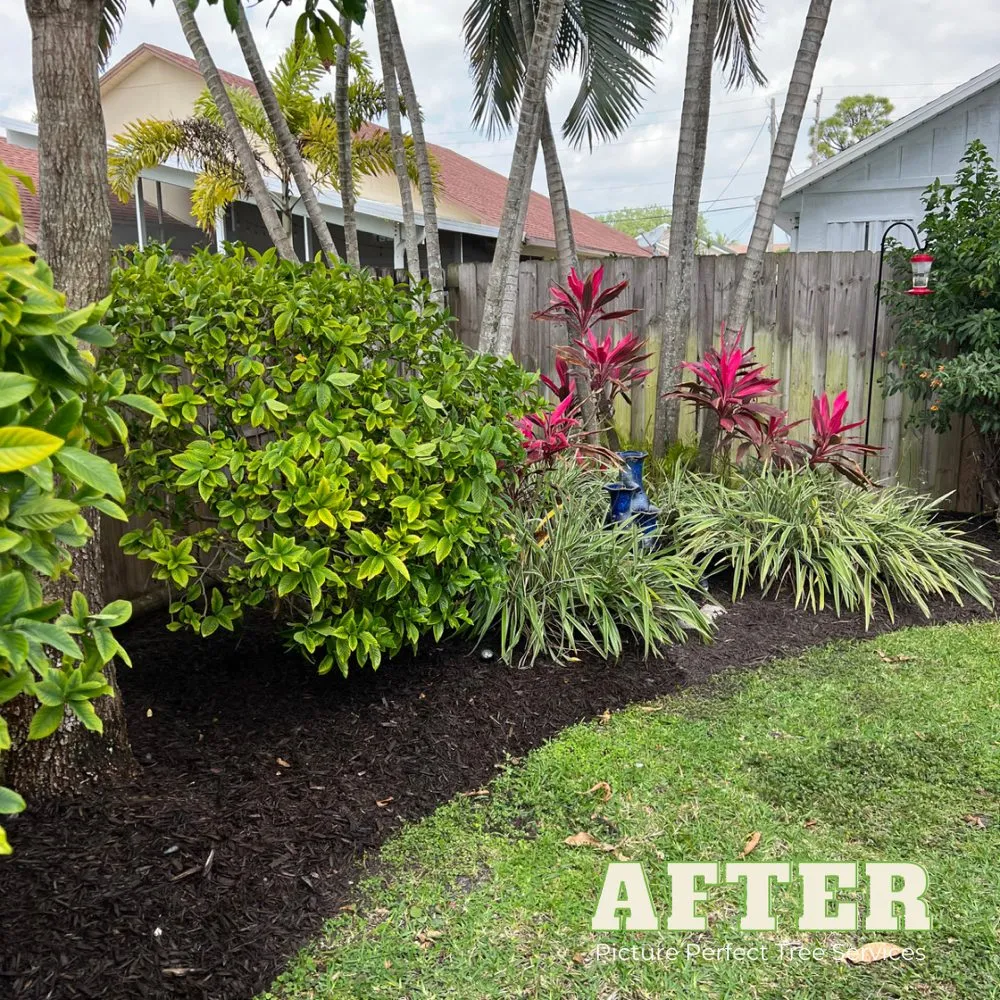 Professional yard cleanup service for year-round maintenance in Jupiter, FL by Picture Perfect Tree Services