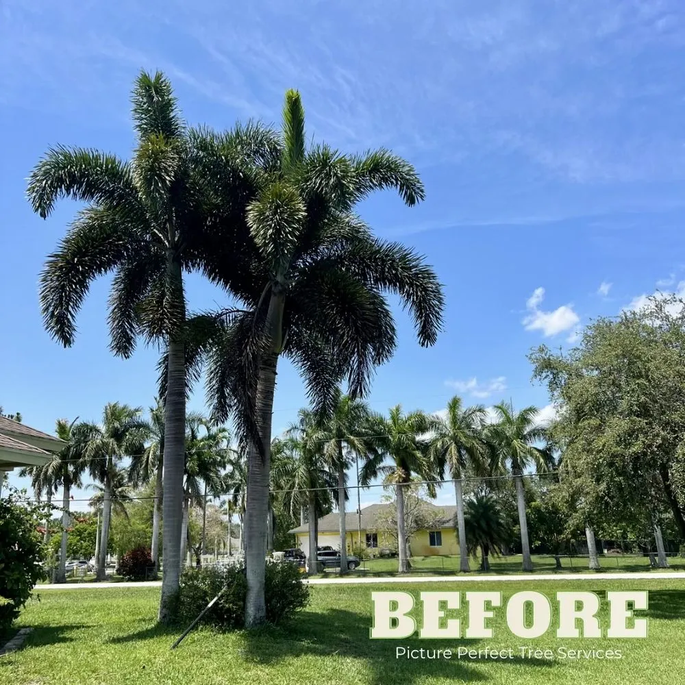 Affordable garden landscaping in Jupiter, FL - Picture Perfect Tree Services