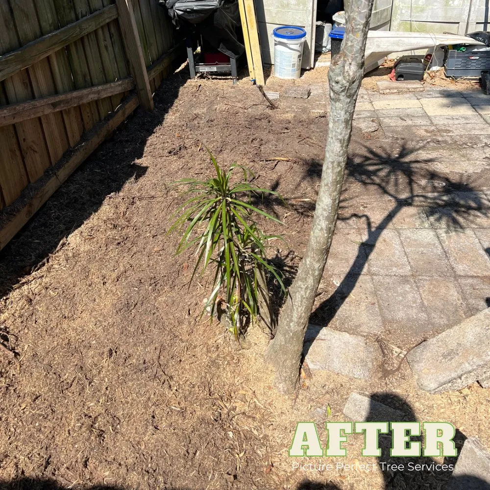 Expert garden landscaping in Jupiter, FL - Picture Perfect Tree Services
