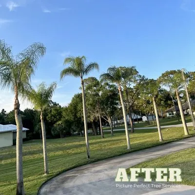 Picture Perfect Tree Services