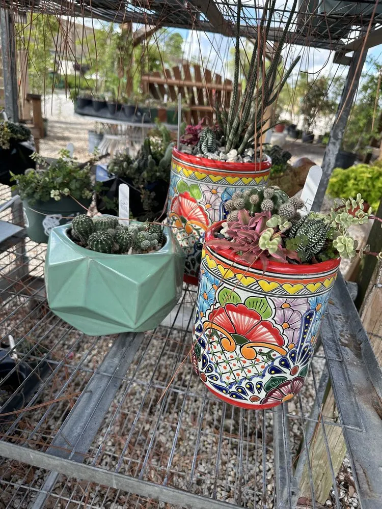 Trusted lawn mowing service near you in Brookshire, TX by Picturesque Landscaping and Nursery