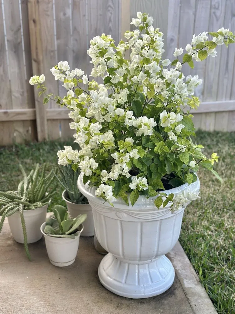 Local landscape installation for homes across Brookshire, TX - Picturesque Landscaping and Nursery