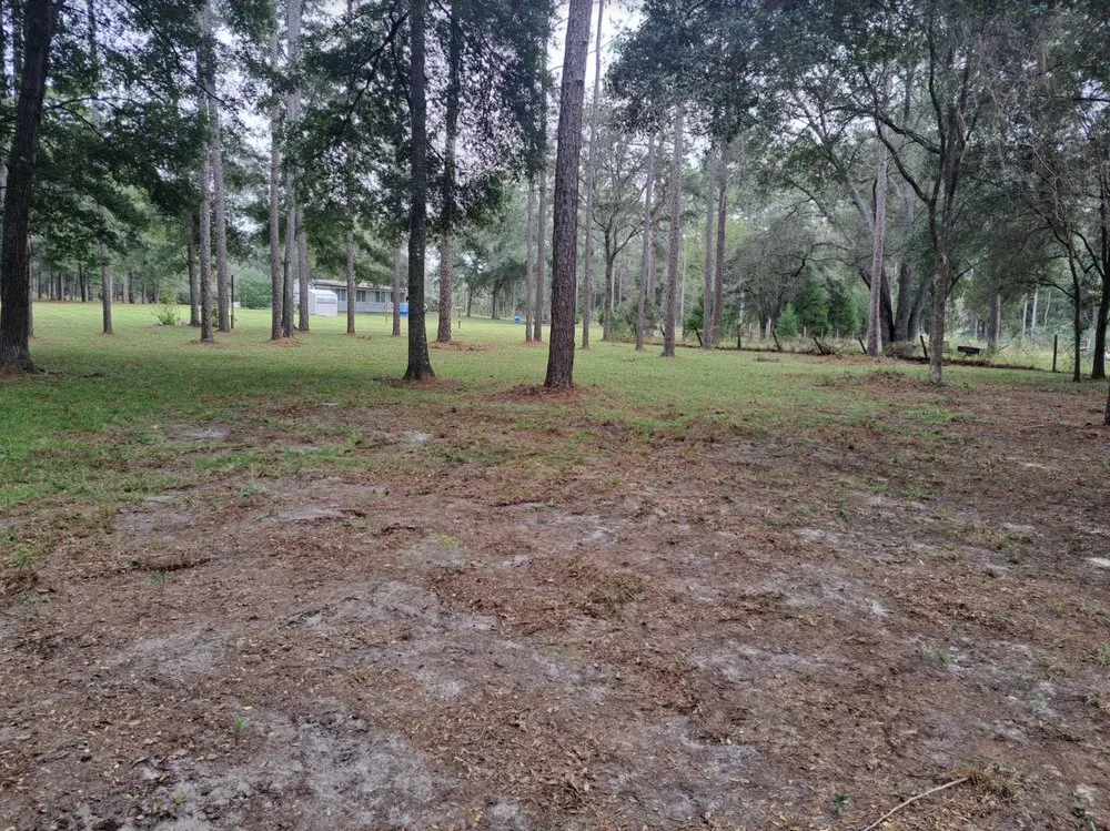 Local landscaping services experts serving DeLand, FL - Picz lawn service