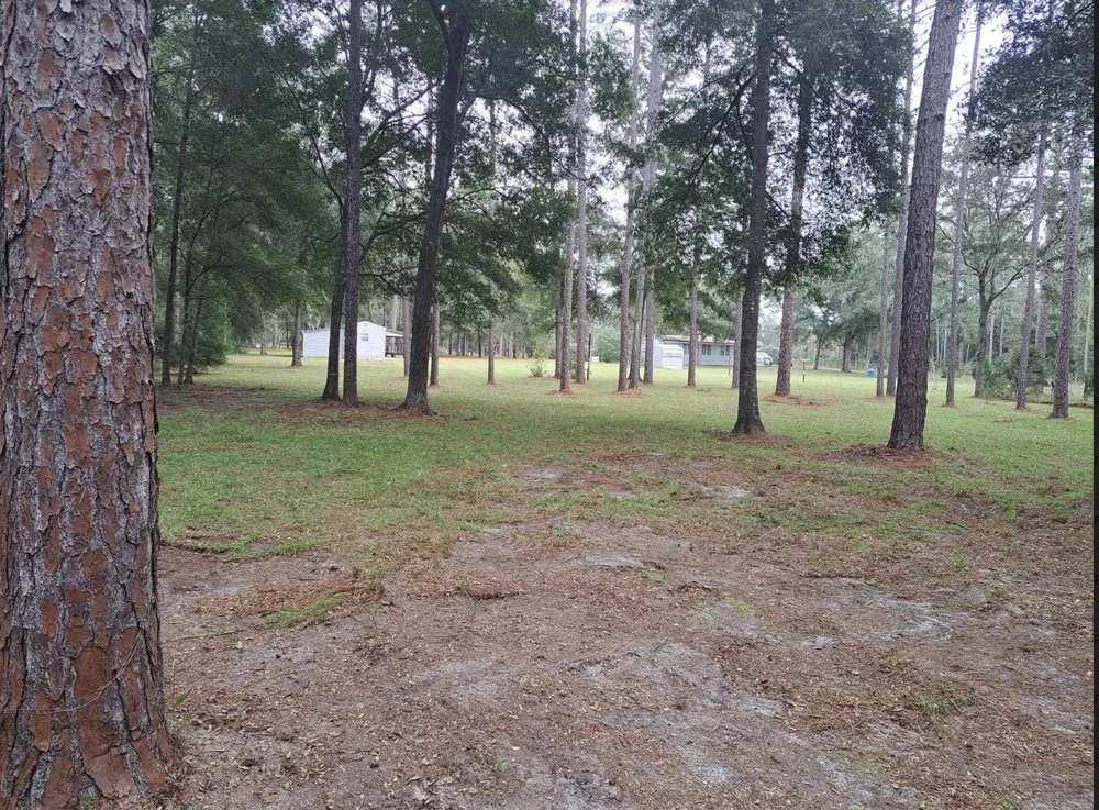 Custom landscape design for residential properties across DeLand, FL - Picz lawn service