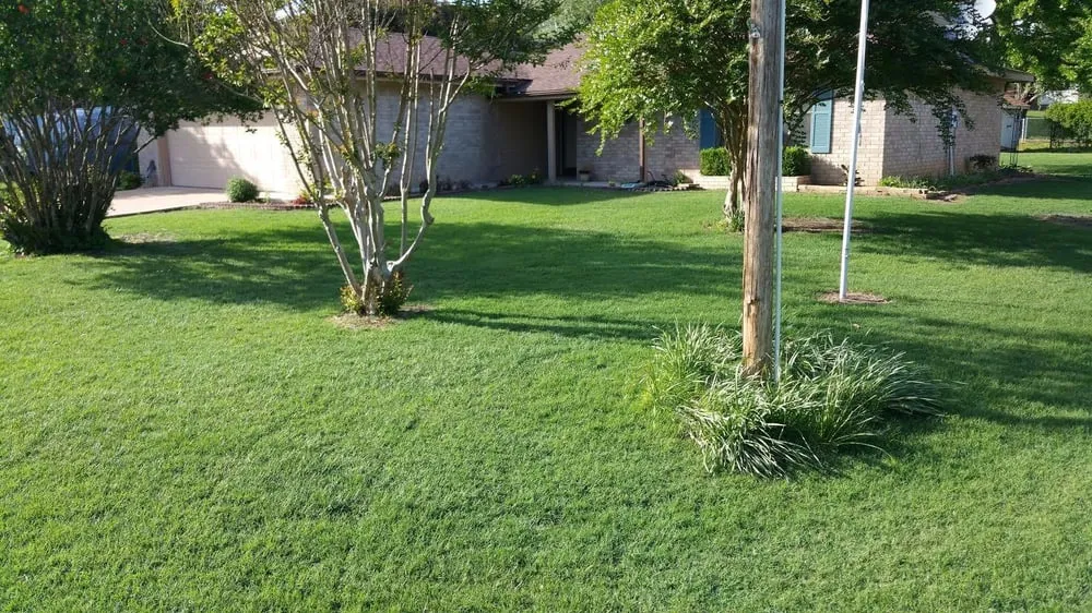 Reliable outdoor landscaping in Fort Worth, TX by Pied Piper Pest, Termite & Lawn Services