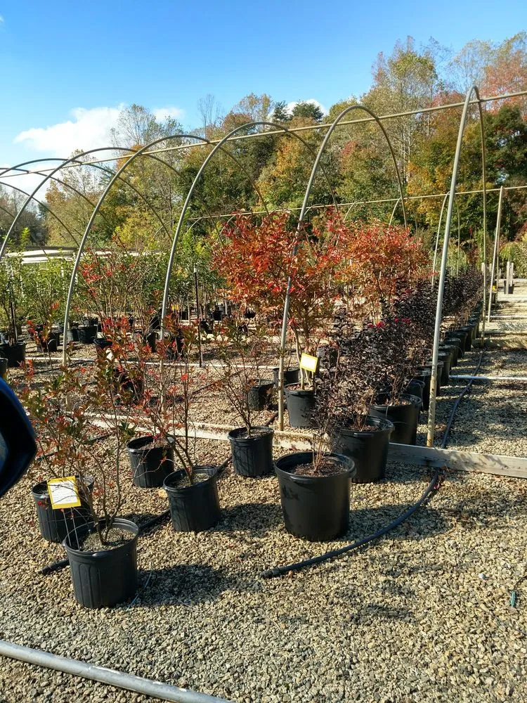Top-rated landscape installation for outdoor upgrades across Colfax, NC - Piedmont -Carolina Landscaping