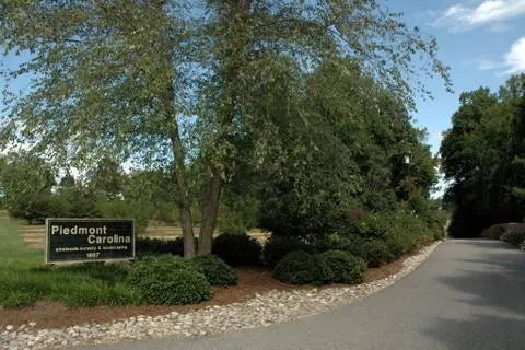Custom residential landscaping experts serving Colfax, NC - Piedmont -Carolina Landscaping
