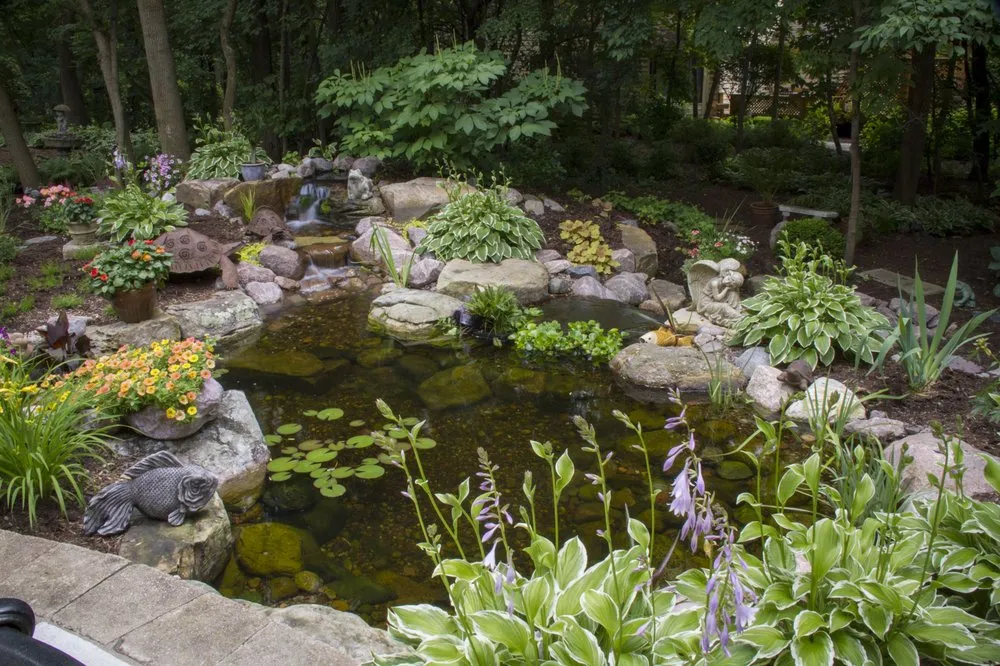 Custom lawn care service in Indian Trail, NC by Piedmont Aquascapes