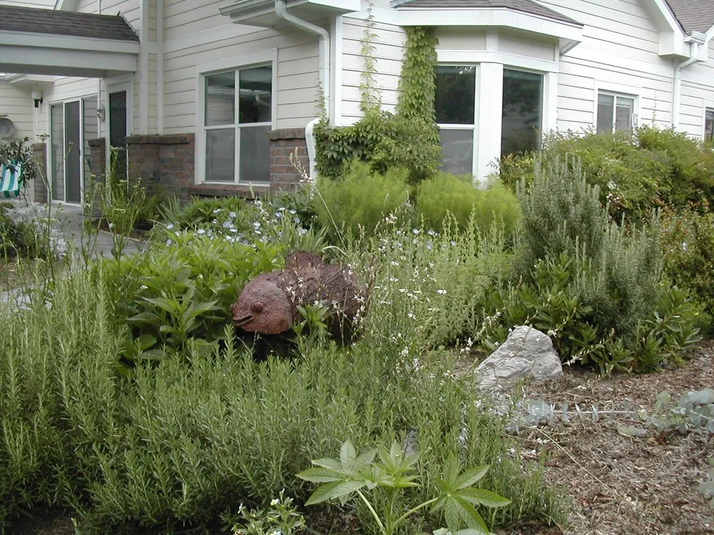 Top-rated outdoor landscaping with custom design in Carrboro, NC by Piedmont Environmental Landscaping & Design